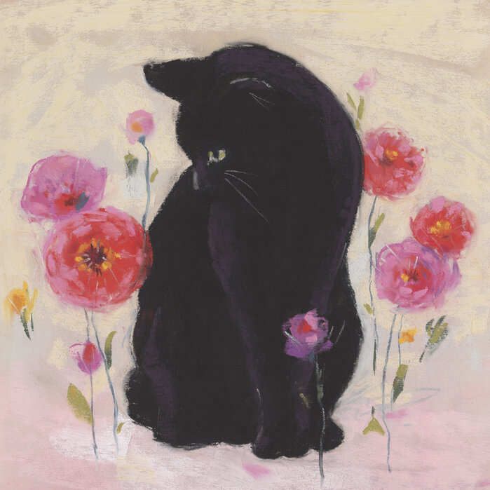 blaqat cat
